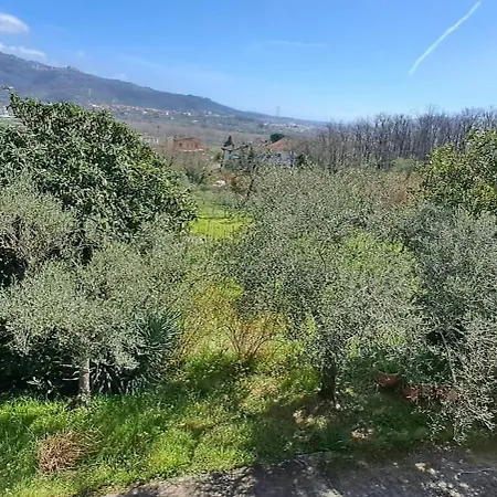 Da Chicca Bolano